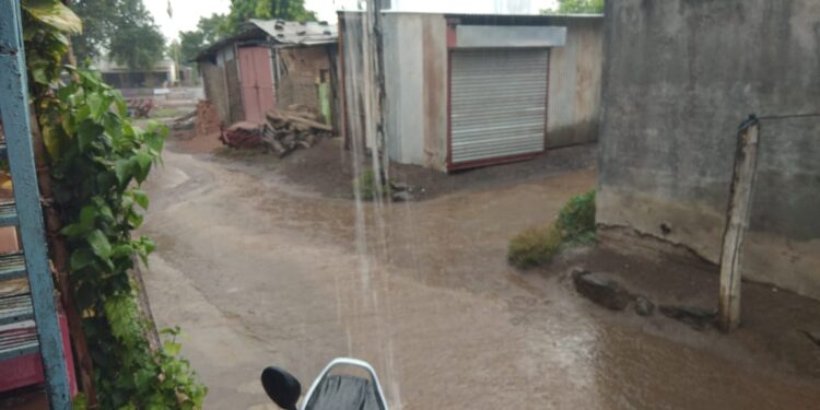 चिनोदा परिसरात पावसाचे आगमन,मात्र दमदार पावसाची प्रतिक्षाच