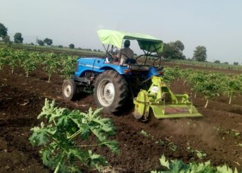 म्हसावद येथील शेतकर्‍यांनी पपई वर फिरवला रोटो