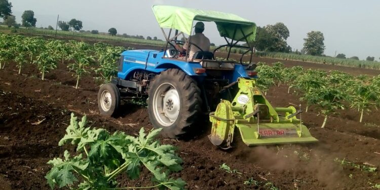 म्हसावद येथील शेतकर्‍यांनी पपई वर फिरवला रोटो