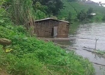 नंदुरबार जिल्हा २३ वर्षांचा झाला, मात्र कुपोषणाचा कलंक कायमच!