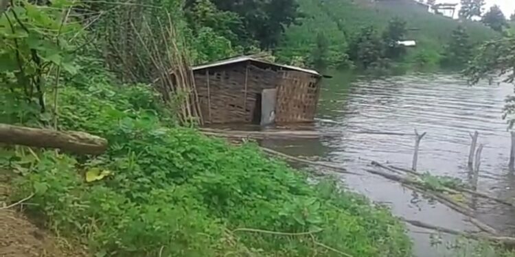 नंदुरबार जिल्हा २३ वर्षांचा झाला, मात्र कुपोषणाचा कलंक कायमच!