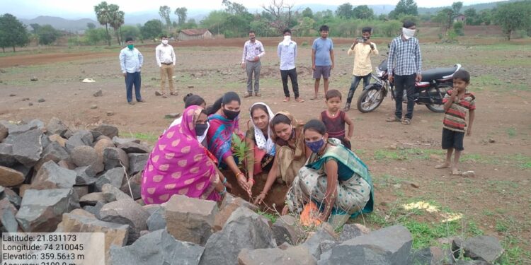 धडगांव येथे नगरपंचायत अंतर्गत एक आठवण आपल्या दारी उपक्रमाद्वारे वृक्षारोपण