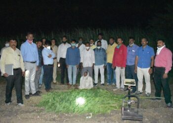 ऊसाच्या शेतात आढळली गांजाची झाडे ८७ हजार ८२५ रुपयांच्या मुद्देमालासह एकास अटक