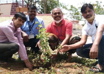 नंदुरबार येथे बच्चू कडूंच्या वाढदिवसानिमित्त प्रहार शिक्षक व शिक्षकेतर कर्मचारी संघटनेतर्फे वृक्षारोपण