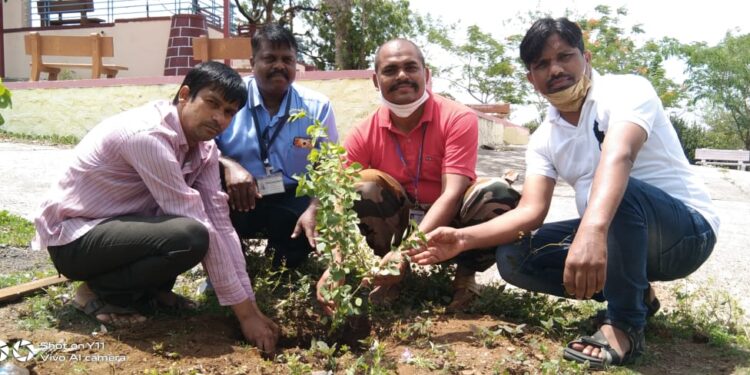 नंदुरबार येथे बच्चू कडूंच्या वाढदिवसानिमित्त प्रहार शिक्षक व शिक्षकेतर कर्मचारी संघटनेतर्फे वृक्षारोपण
