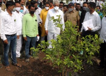 डोंगराळ भागासाठी उपयुक्त वाणांचे संशोधन करणार-दादाजी भुसे