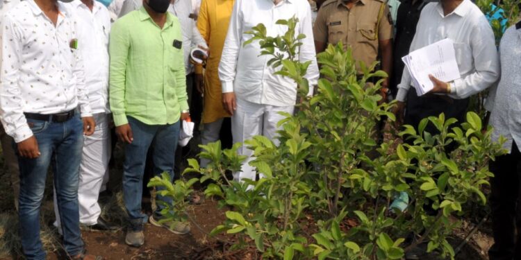 डोंगराळ भागासाठी उपयुक्त वाणांचे संशोधन करणार-दादाजी भुसे