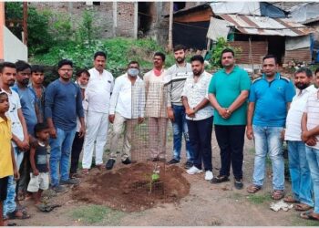 भाजपा युवा मोर्चा महाराष्ट्र प्रदेश अध्यक्ष विक्रांत पाटील यांच्या वाढदिवसानिमित्त नवापुर भाजपाच्या वतीने करण्यात आले वृक्षारोपण