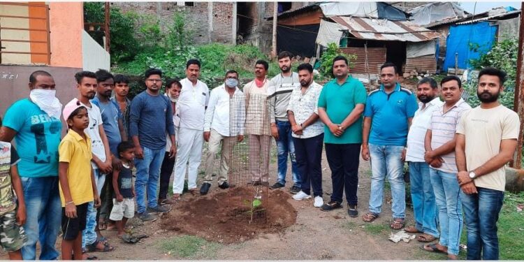 भाजपा युवा मोर्चा महाराष्ट्र प्रदेश अध्यक्ष विक्रांत पाटील यांच्या वाढदिवसानिमित्त नवापुर भाजपाच्या वतीने करण्यात आले वृक्षारोपण