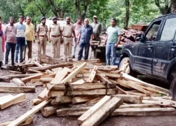 नागझिरी येथून अडीच लाखाचे सागवानी लाकूड जप्त