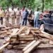 नागझिरी येथून अडीच लाखाचे सागवानी लाकूड जप्त