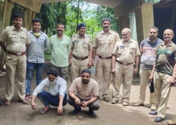 मांडूळ तस्करी प्रकरणी दोघांना अटक, न्यायालयाने ठोठावली दोन दिवसांची वनकोठडी