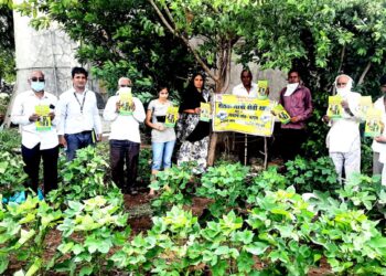 समशेरपूर येथे कापूस पिका विषयी शेतकर्‍यांची शेतीशाळा