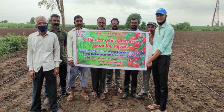 शहादा येथील के.व्ही.पटेल कृषि महाविद्यालयातील कृषिदूताची शेतकर्यांमध्ये जनजागृती