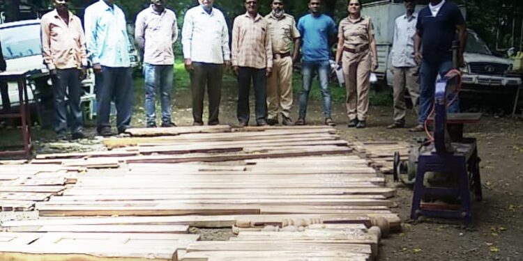 बंधारपाडा येथे वनविभागाच्या कारवाईत अवैध सागवानी लाकूड जप्त