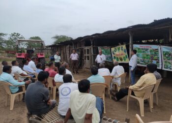 एक गाव एक वाण अंतर्गत कृषि विभागामार्फत दहिंदुले येथे कापुस पिक शेतीशाळा