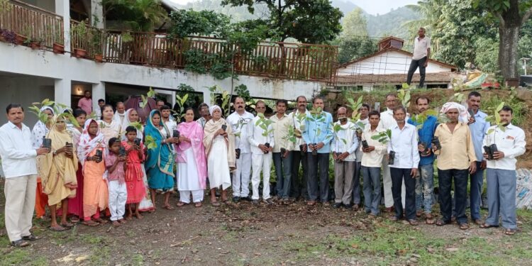 असली येथे चांद्याबाबा पाडवी यांच्या नेतृत्वाखाली  ग्रामपंचायतीने राबविला एक मतदार चार झाड उपक्रम, सात हजार रोपांची करण्यात आली लागवड