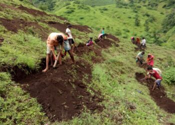 रोजगार हमी योजनेतंर्गत मजूरांना रोजगार उपलब्ध