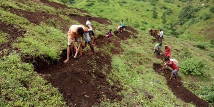 रोजगार हमी योजनेतंर्गत मजूरांना रोजगार उपलब्ध