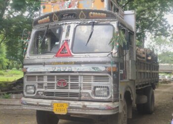 नवापूर तालुक्यातील भोंनआमळा  येथे वनविभागाच्या कारवाईत साडे पाच लाखांचें अवैध लाकुडासह वाहन जप्त