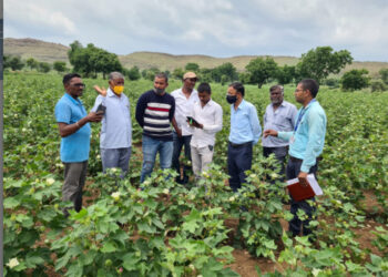 ई-पीक पाहणीचा शेतकऱ्यांना लाभ, कार्ली, मांजरे येथे शेतकऱ्यांना बांधावर मार्गदर्शन