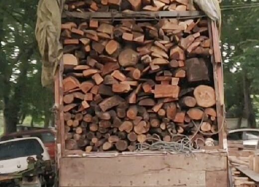 नवापूर येथे अवैध लाकूड जप्त वनविभागाची कारवाई