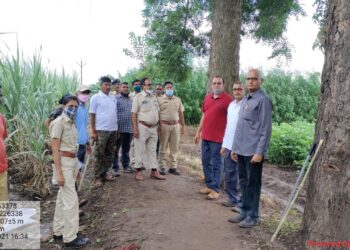 तळोदा येथील वन विभागाने बिबट्याचा शोधासाठी गस्त वाढवली