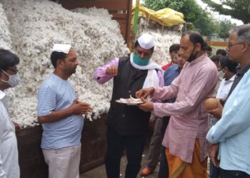 खेतिया येथे कापूस खरेदीला प्रारंभ, ६,५२० रुपये प्रति क्विंटल भाव