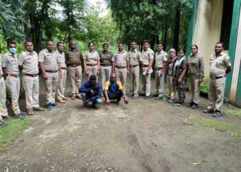 जंगलात अवैधरित्या वृक्षतोड करणाऱ्या दोन संशयितांना वनविभागाने केली अटक