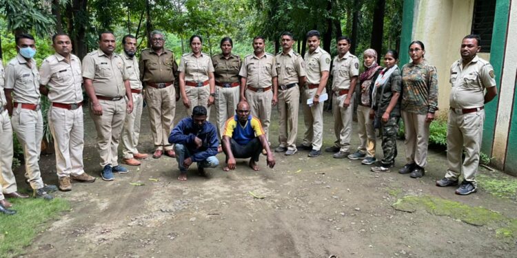 जंगलात अवैधरित्या वृक्षतोड करणाऱ्या दोन संशयितांना वनविभागाने केली अटक