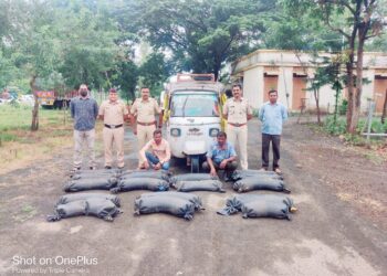 अवैध गावठी हातभट्टी दारु वाहतुक करणार्‍या रिक्षासह ९० हजाराचा मुद्देमाल जप्त,दोघांना अटक, विसरवाडी पोलीसांची कारवाई
