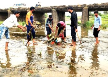 मातृवंदना प्रतिष्ठानतर्फे शिवण नदीची साफसफाई