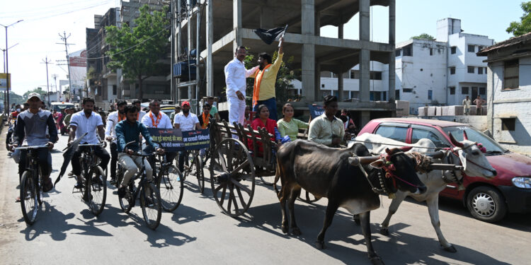 नंदुरबार येथे बैलगाडीसह सायकल रॅली काढून इंधन दरवाढीचा निषेध