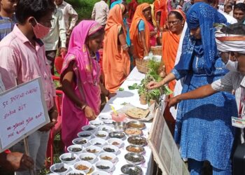 आहारात रानभाज्यांचा समावेश केल्यास कुपोषणाची़ समस्या दूर होण्यास होणार मदत : जिल्हाधिकारी मनीषा खत्री