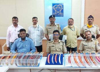 निवडणुकीच्या कालावधीत पोलिसांनी जप्त केल्या 20 तलवारी एकास अटक