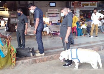 नंदुरबार बसस्थानकात  बॉम्ब शोधक पथकाने केली तपासणी
