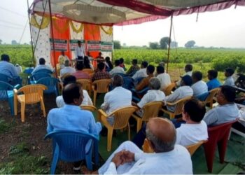 कोळदा येथे लुपिन फाऊंडेशनतर्फे कापूस पीक शेतीशाळा उत्साहात