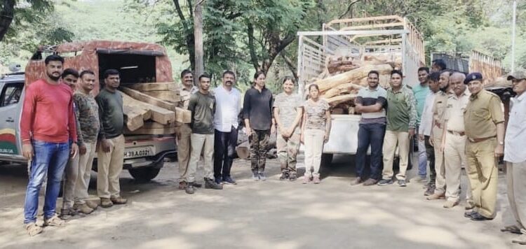 नवापूर तालुक्यात तीन लाखाचे अवैध लाकूड जप्त, वनविभागाची कारवाई,