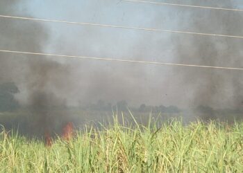 अज्ञात माथेफिरूने लावलेल्या आगीत दहा लाखाचा ऊस जळून खाक