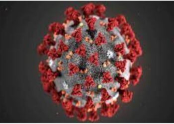 नंदुरबार जिल्ह्यातील या तालुक्यात आढळले आज तिन कोरोना रूग्ण