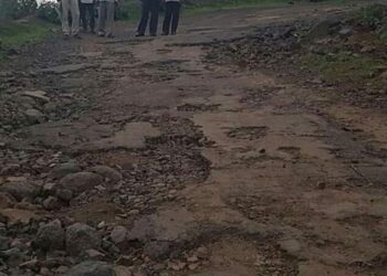 निगदी – गोरंबा रस्त्यात खड्डेच खड्डे,   दुरुस्त करण्याची नागरिकांची मागणी