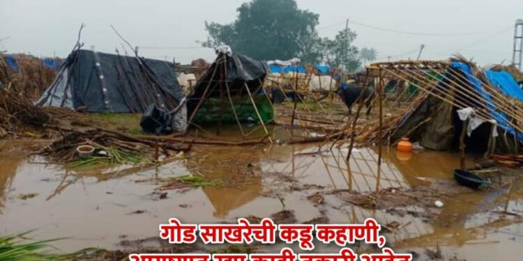 खेळ मांडला…. गोड साखरेची कडू कहाणीत दिसून आली माणुसकीची झलक