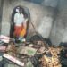विसरवाडीत येथे घराला आग लागुन  लाखोंचे साहित्य जळून खाक