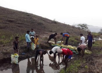 जलसाक्षरता समिती निमझरीपाडा तर्फे वनराई बंधाऱ्याची निर्मिती
