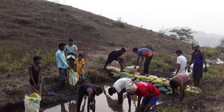 जलसाक्षरता समिती निमझरीपाडा तर्फे वनराई बंधाऱ्याची निर्मिती