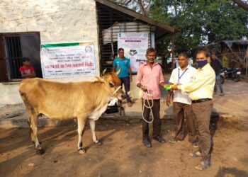 रिलायन्स फाउंडेशन व पशुसंवर्धन विभागाच्या मार्फत जनावरांवर मोफत उपचार शिबीर