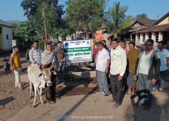 साबलापाणी ता.शहादा येथे पशुधन सर्व चिक्कीत्सा लसीकरण मोहीम