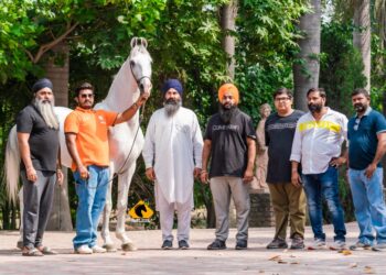 तब्बल ११ कोटीचा भारतातील अश्व चॅम्पियन अल्बक्ष सारंगखेड्यात दाखल