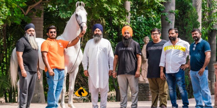 तब्बल ११ कोटीचा भारतातील अश्व चॅम्पियन अल्बक्ष सारंगखेड्यात दाखल