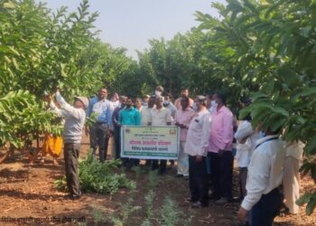 कृषी विभाग मार्फत विविध फळबागांची छाटणी प्रशिक्षण कार्यक्रम उत्साहात